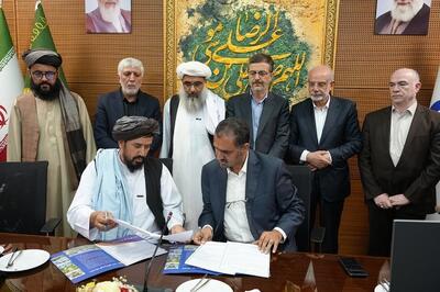 بیش از ۴۰ هزار بیمار افغانستانی از خدمات درمانی شهر مشهد بهره‌مند شدند