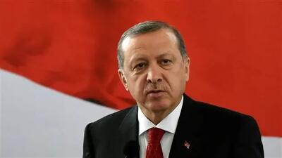 اردوغان: اسرائیل در تلاش است تا مانع ثبات در سوریه شود