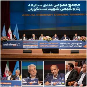 همدلی سهامداران و مدیریت پتروشیمی شهید تندگویان برای افزایش سودآوری