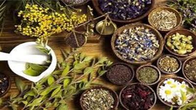 تولید گیاهان دارویی فرصتی برای تولید، اشتغال و رهایی از اقتصاد نفتی + فیلم