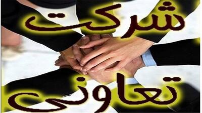 فرصت‌های سرمایه گذاری خارجی بخش تعاون شناسایی می‌شوند