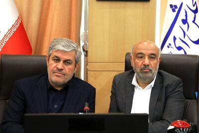 وزیر کار: درآمد حاصل از حذف یارانه ثروتمندان بین دهک‌های پایین توزیع می‌شود