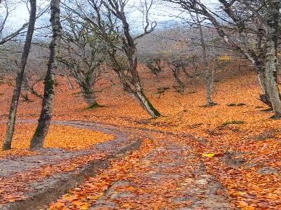 زیبایی روستای چورت ساری