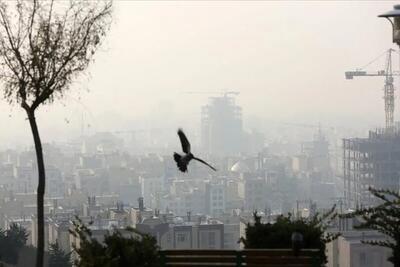 چرخه معیوب محیط زیست رشد اقتصادی را بر باد داد