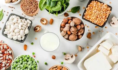 ۱۴ منبع پروتئین گیاهی عالی