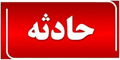 نجات چوپان مجروح از چنگال خرس در ارتفاعات کجور