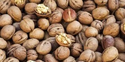 ۸ خوراکی برتر برای بهبود کیفیت خواب