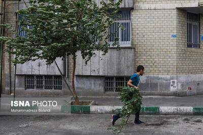 گرما و باد و خاک در تهران