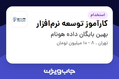 استخدام کارآموز توسعه نرم‌افزار در بهین بایگان داده هونام