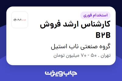 استخدام کارشناس ارشد فروش B2B در گروه صنعتی ناب استیل