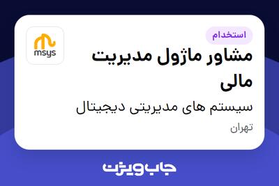 استخدام مشاور ماژول مدیریت مالی در سیستم های مدیریتی دیجیتال