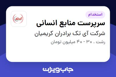 استخدام سرپرست منابع انسانی در شرکت آی تک برادران کریمیان