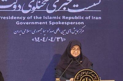 فیلم/ سخنگوی دولت: جریمه دیرکرد وام‌های خرد بخشیده شد