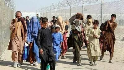 بازگشت پرهزینه مهاجران افغان از ایران