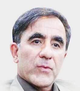 اسنپ‌بک و تئوری پوست گردو