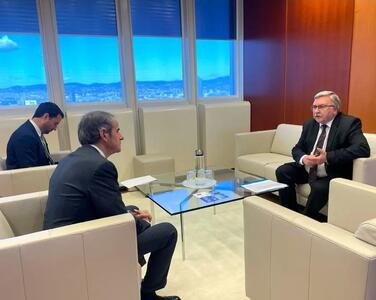 گروسی و اولیانوف درباره ایران گفت‌وگو کردند
