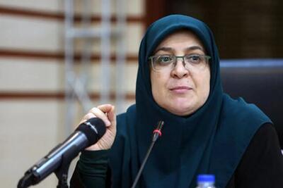 سخنگوی دولت: در جنگ اخیر ۱۰۶۲ شهید تقدیم کردیم؛ ۱۰۲ شهید زن و ۳۸ شهید کودک بودند