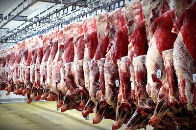 از تاثیرات واردات گوشت تا چرایی افزایش قیمت
