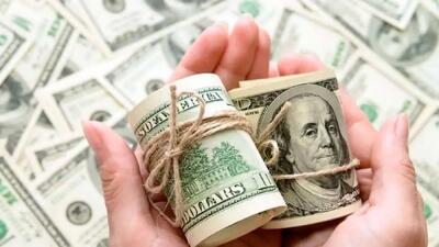 صنعت قربانی بازی ارزی دولت؟