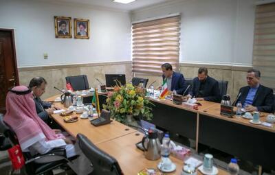 آمادگی ایران برای به اشتراک‌گذاری تجارب خود در زمینه مبارزه با موادمخدر با کشور عربستان