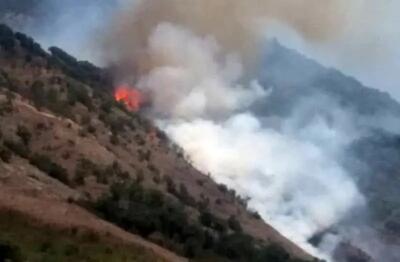شناسایی ۱۵۰ نقطه بحرانی حریق در سطح جنگل‌ها و مراتع لرستان