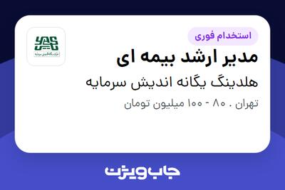 استخدام مدیر ارشد بیمه ای در هلدینگ یگانه اندیش سرمایه
