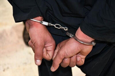 سرقت منازل با استفاده از خودروی پلاک جعلی در تهران