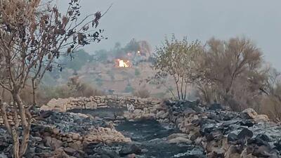 آتش به جان منطقه چهنارو در روستای جبل‌النارویه فیروزآباد فارس افتاد