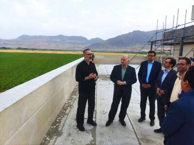 دادستان بروجرد: در شرایط کنونی کشت گیاهان آبدوست ناعدالتی است