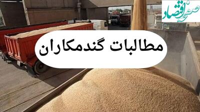 آخرین خبر از پرداخت مطالبات گندمکاران امروز چهارشنبه ۱ مرداد ماه ۱۴۰۴ | از خرید تضمینی گندم چه خبر؟