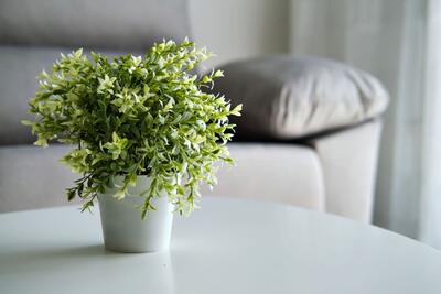 گل طبیعی یا مصنوعی؟ کدام برای هدیه دادن بهتر است ؟