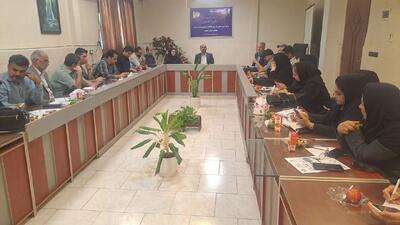 مدرکگرایی بدون مهارت، خیانت به آموزش است